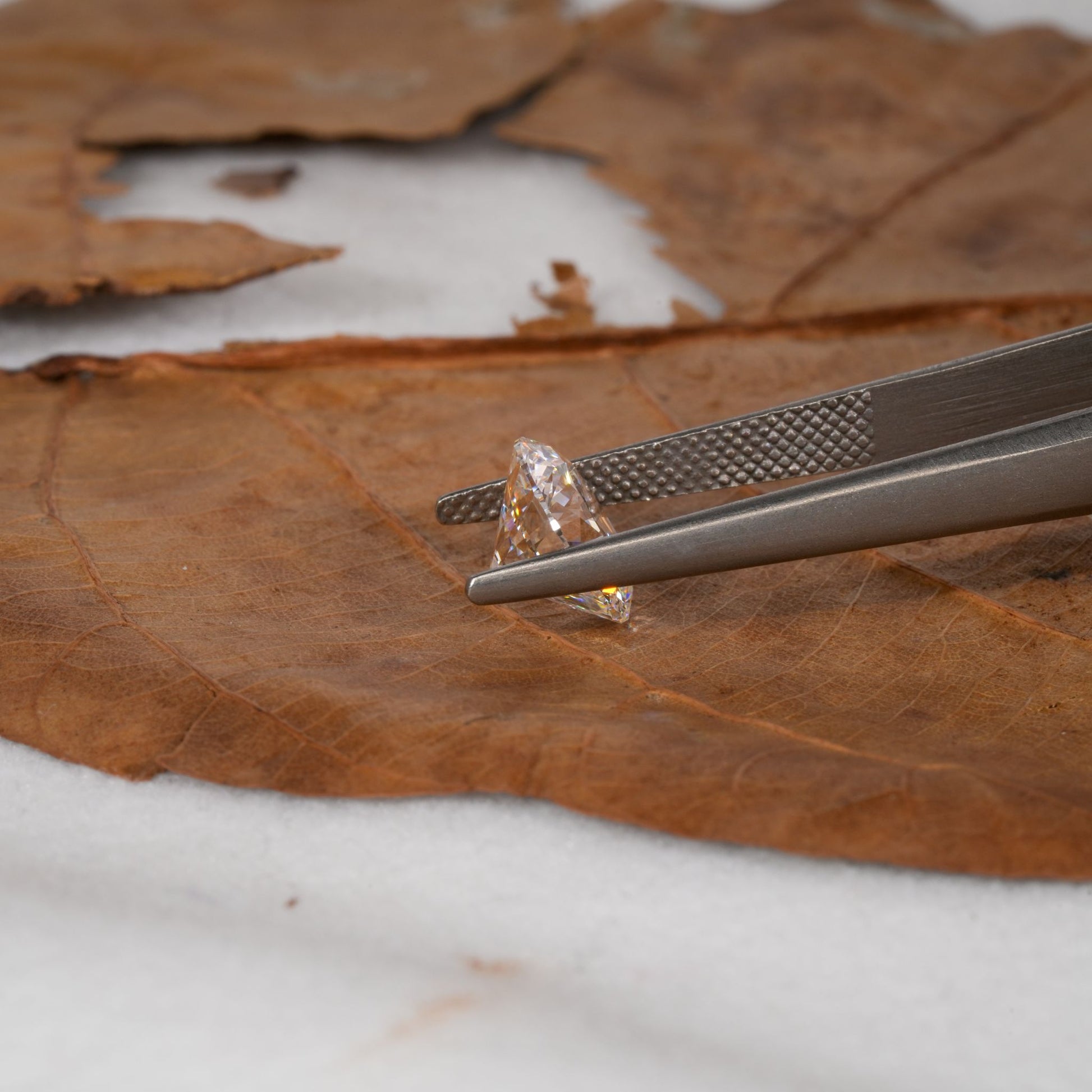 Loose oval-cut diamond, clear faceted gemstone held with tweezers, side profile showing pavilion and girdle on a leaf surface

