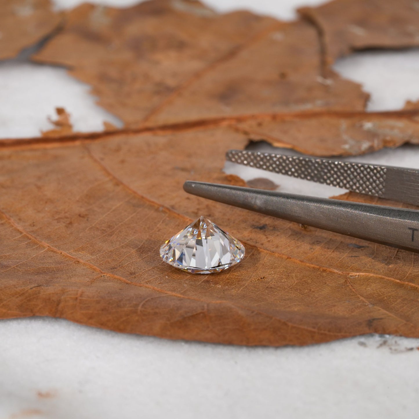 Loose oval-cut diamond, clear faceted gemstone showing side profile and pavilion on a leaf surface beside tweezers
